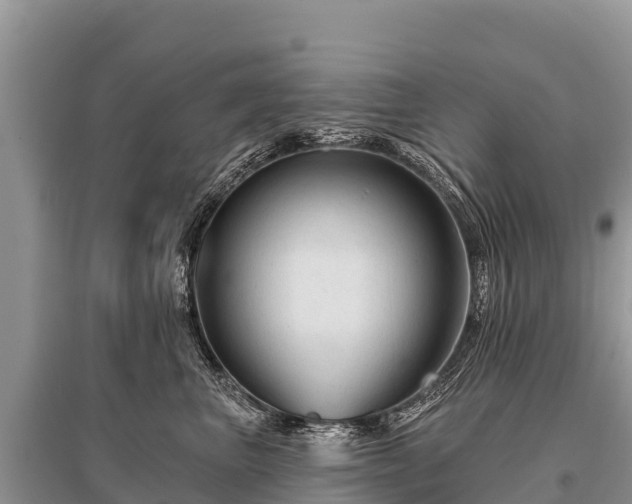 X0000096190667200801251241