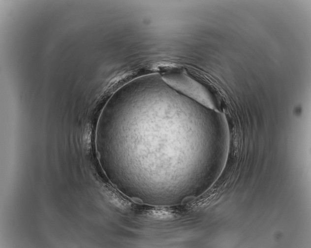 X0000096190668200801251241