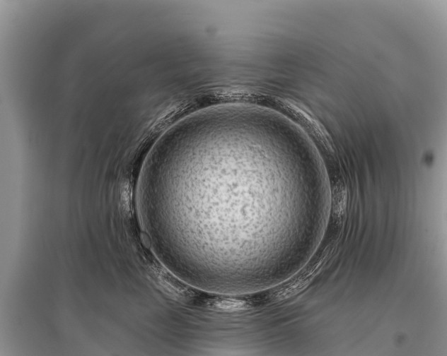 X0000096190669200801251241