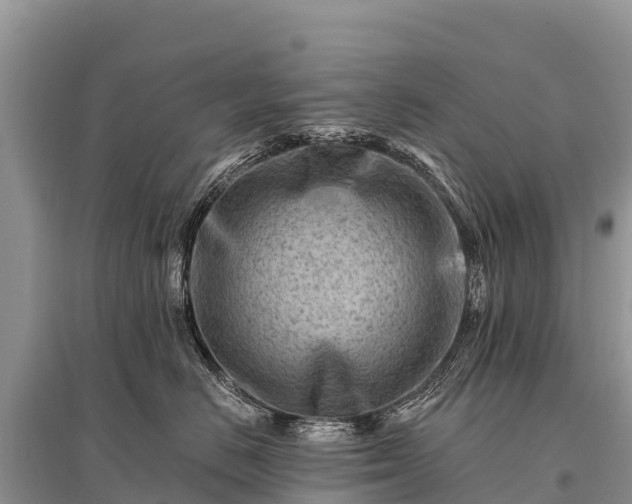 X0000096190670200801251241