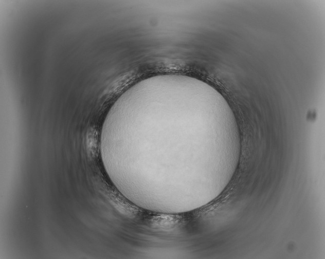 X0000096190672200801251241