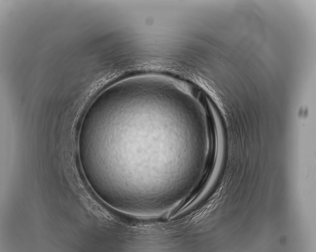 X0000096190673200801251241