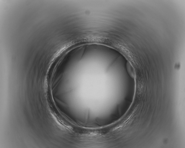 X0000096190674200801251241