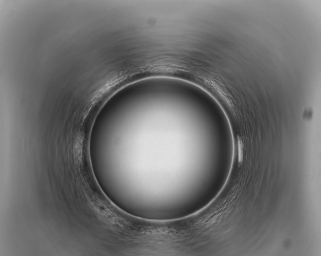 X0000096190675200801251241
