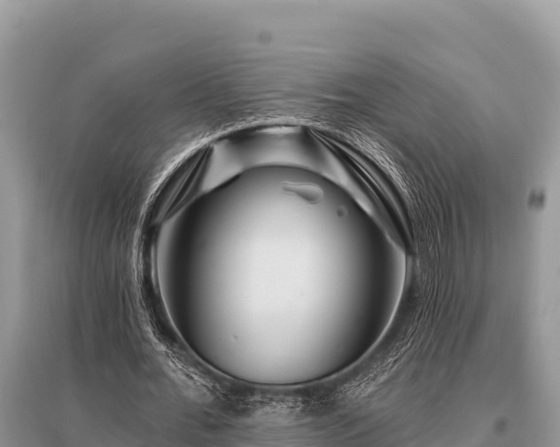 X0000096190676200801251241