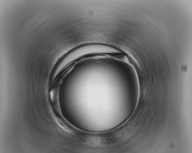 X0000096190677200801251241