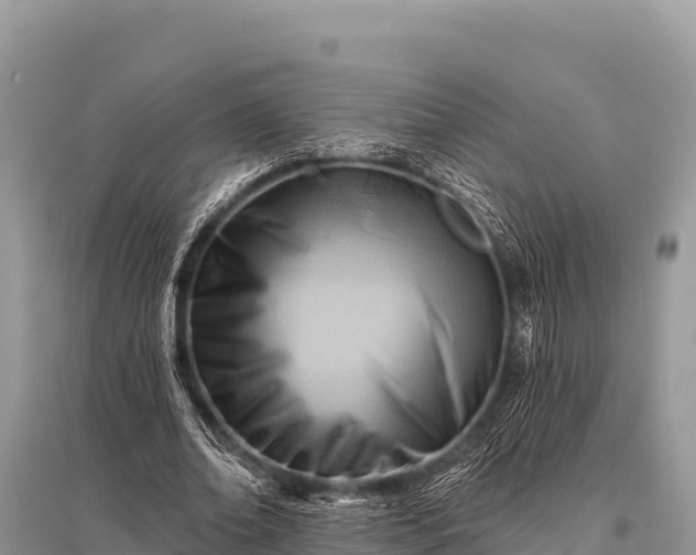 X0000096190678200801251241