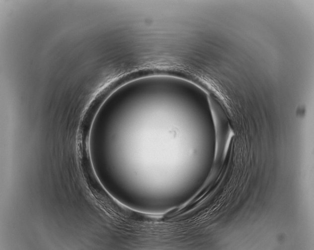 X0000096190680200801251241