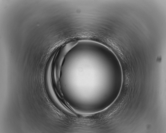 X0000096190681200801251241