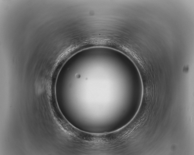 X0000096190682200801251241