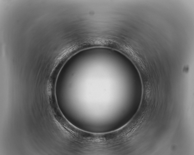 X0000096190683200801251241