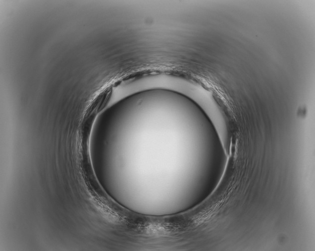 X0000096190684200801251241