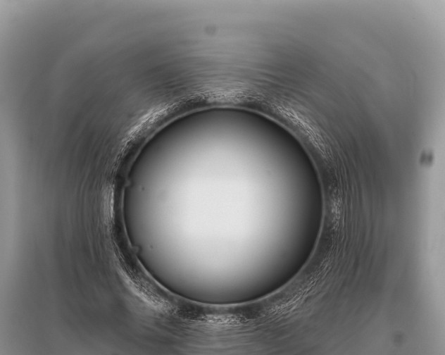 X0000096190686200801251241