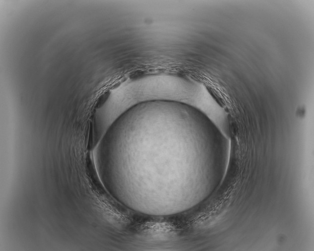 X0000096190689200801251241