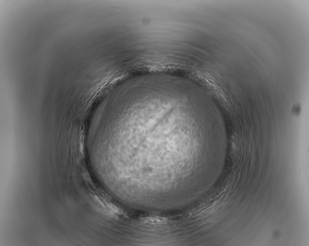 X0000096190691200801251241