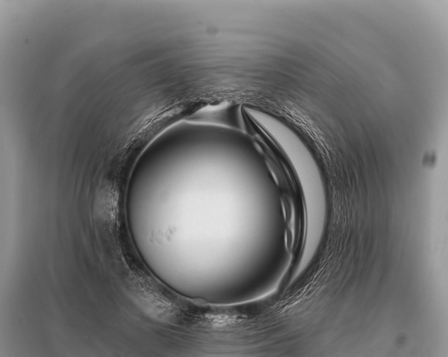 X0000096190693200801251241