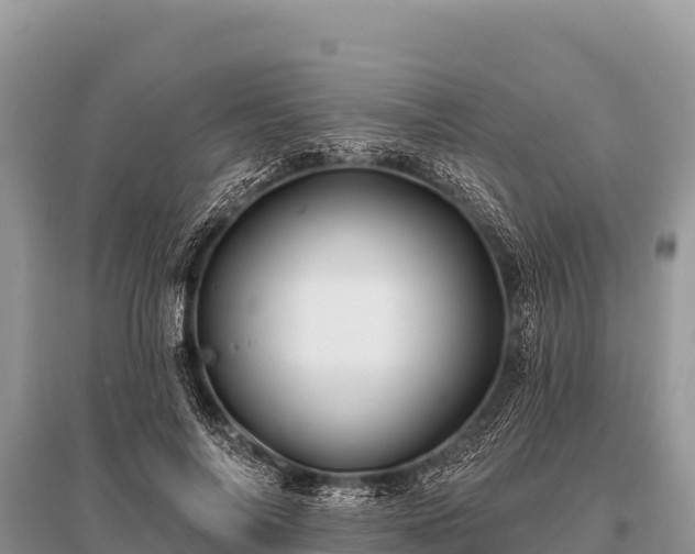 X0000096190694200801251241