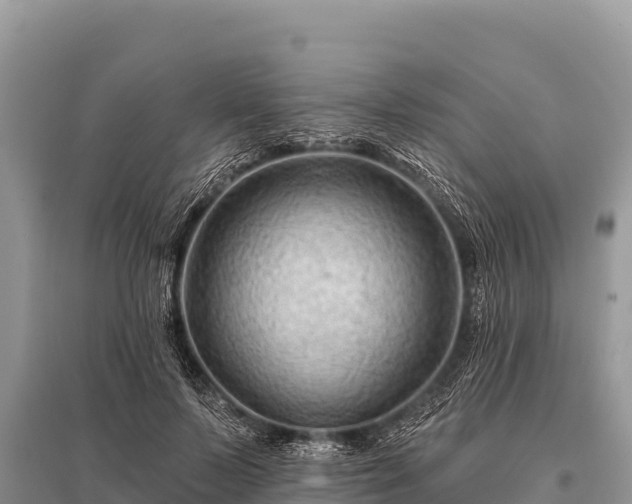 X0000096190695200801251241