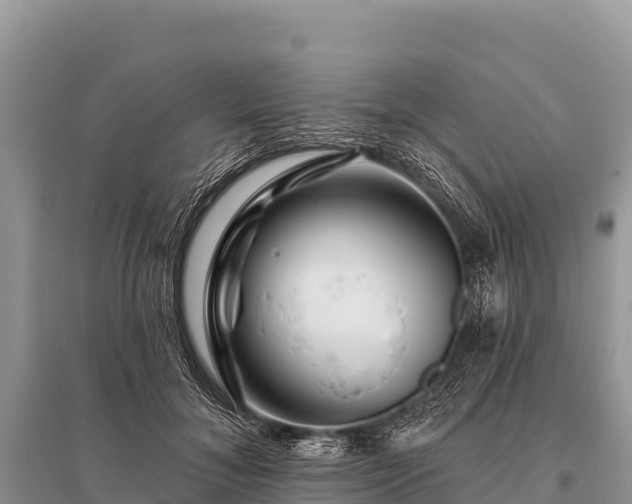 X0000096190700200801251240