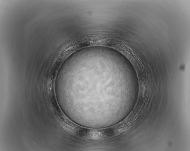 X0000096190701200801251240