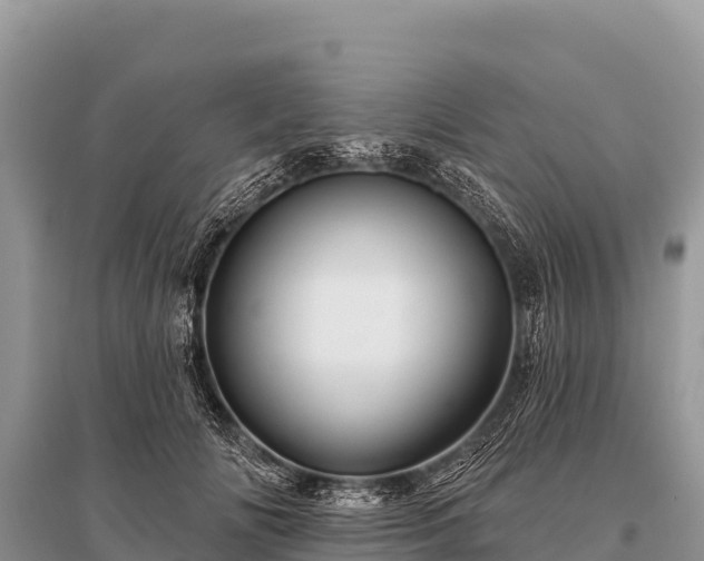 X0000096190702200801251240