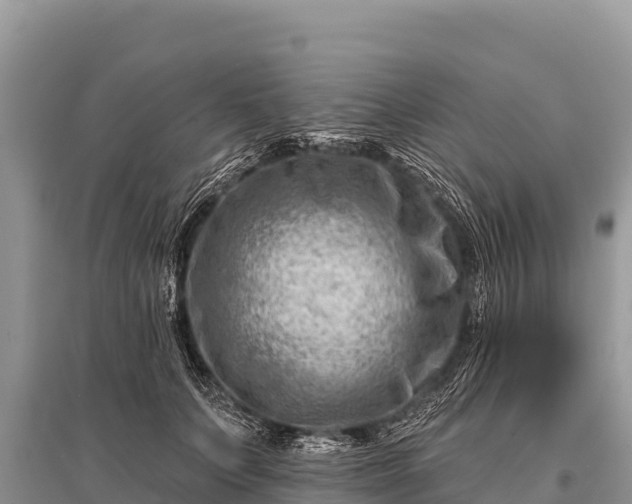 X0000096190703200801251240