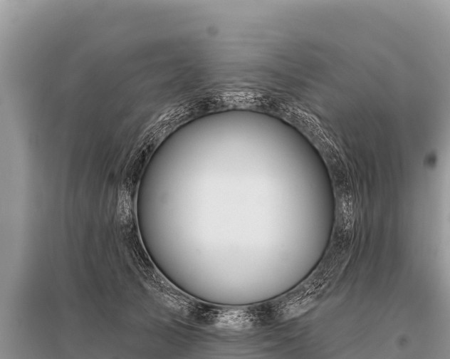 X0000096190705200801251240