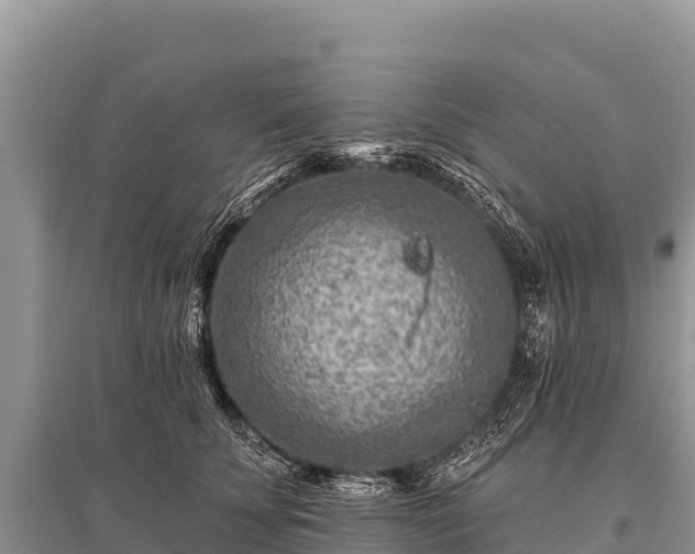 X0000096190707200801251240