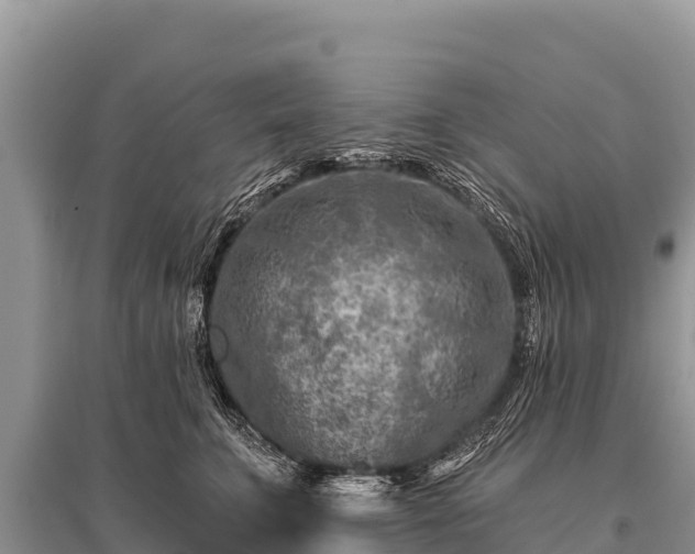 X0000096190711200801251240