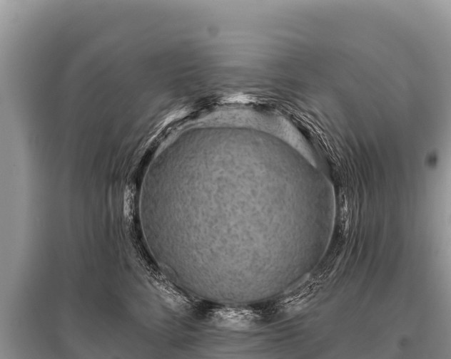 X0000096190712200801251240
