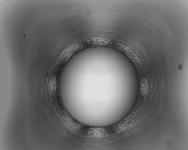 X0000096190713200801251240