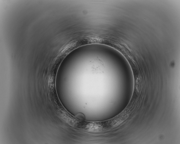X0000096190714200801251240