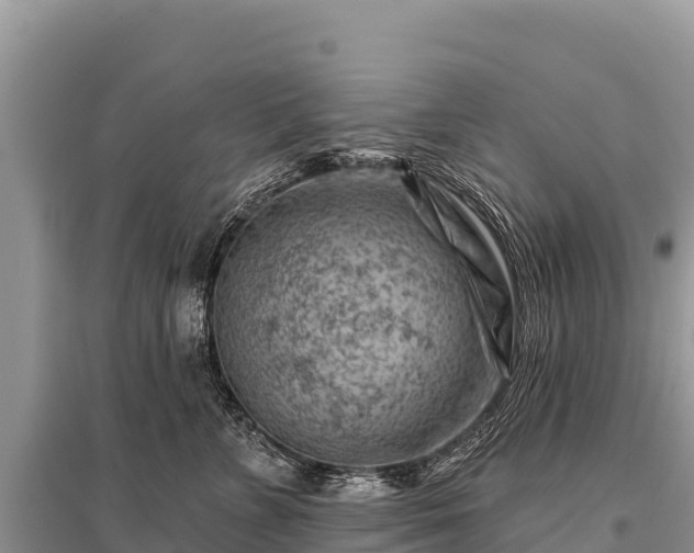 X0000096190715200801251240