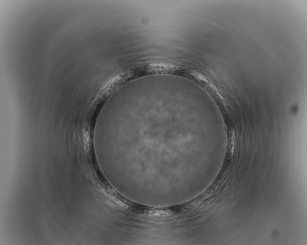 X0000096190716200801251240