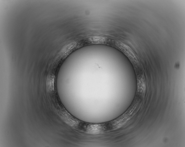 X0000096190717200801251240