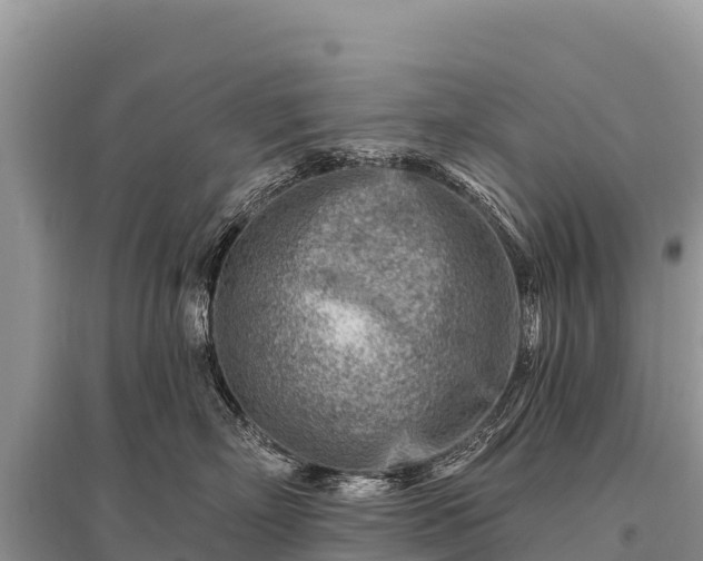 X0000096190718200801251240