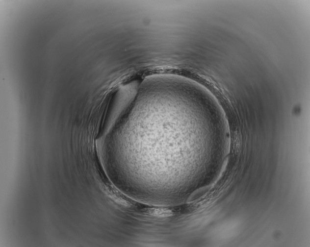 X0000096190719200801251240