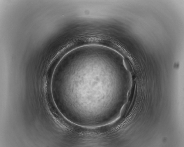 X0000096190722200801251239