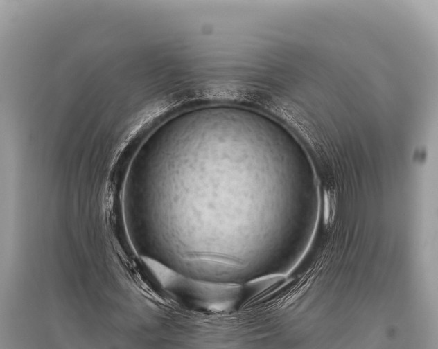 X0000096190723200801251239