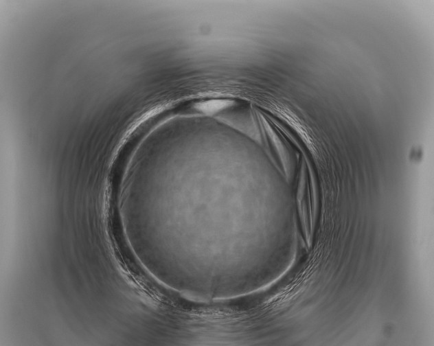 X0000096190724200801251239