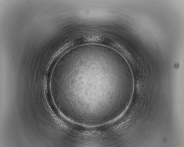 X0000096190725200801251239
