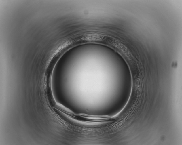 X0000096190727200801251239