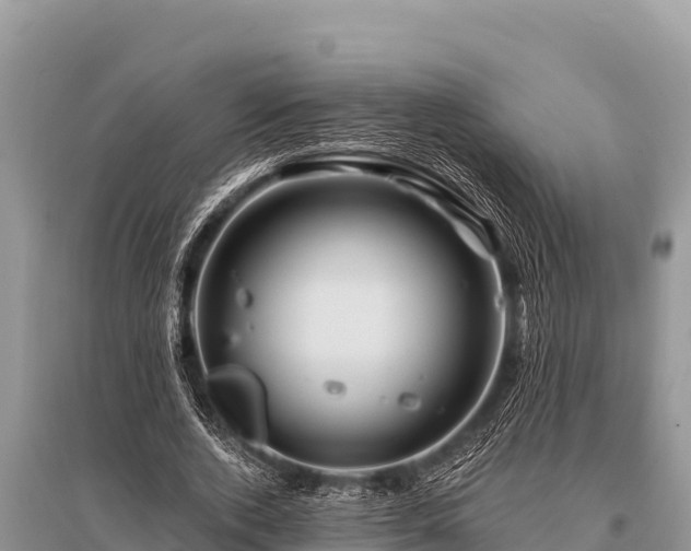 X0000096190728200801251239