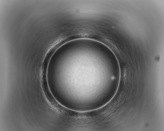 X0000096190730200801251239