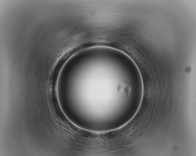 X0000096190731200801251239