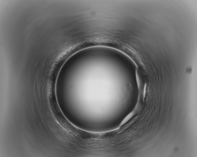 X0000096190732200801251239
