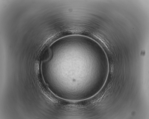 X0000096190733200801251239