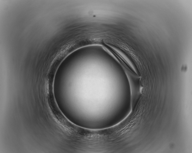 X0000096190734200801251239