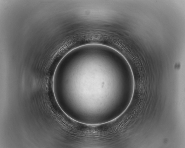 X0000096190735200801251240