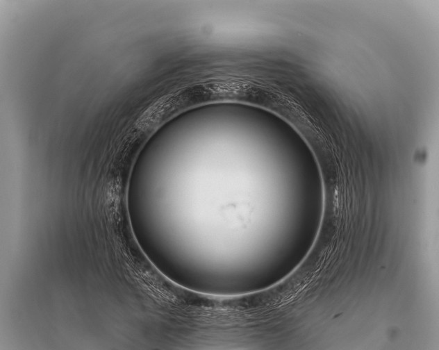 X0000096190737200801251240